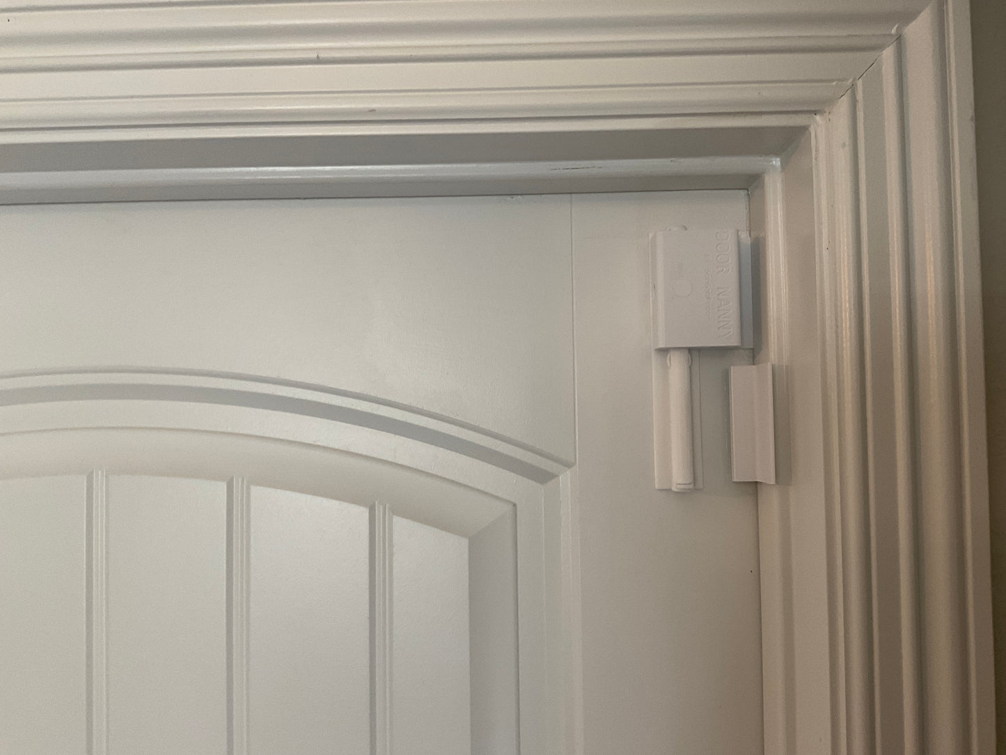 Door Nanny, Child & Pet, Non-Damaging Vertical Door Edge, Door Retention Latch